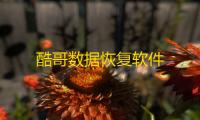 酷哥数据恢复软件
