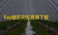 Ray暗区突围直装下载详解：优势、风险与合法渠道全解析